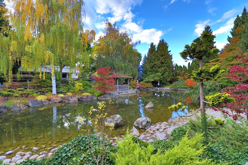 Beautiful Kasugai gardens!