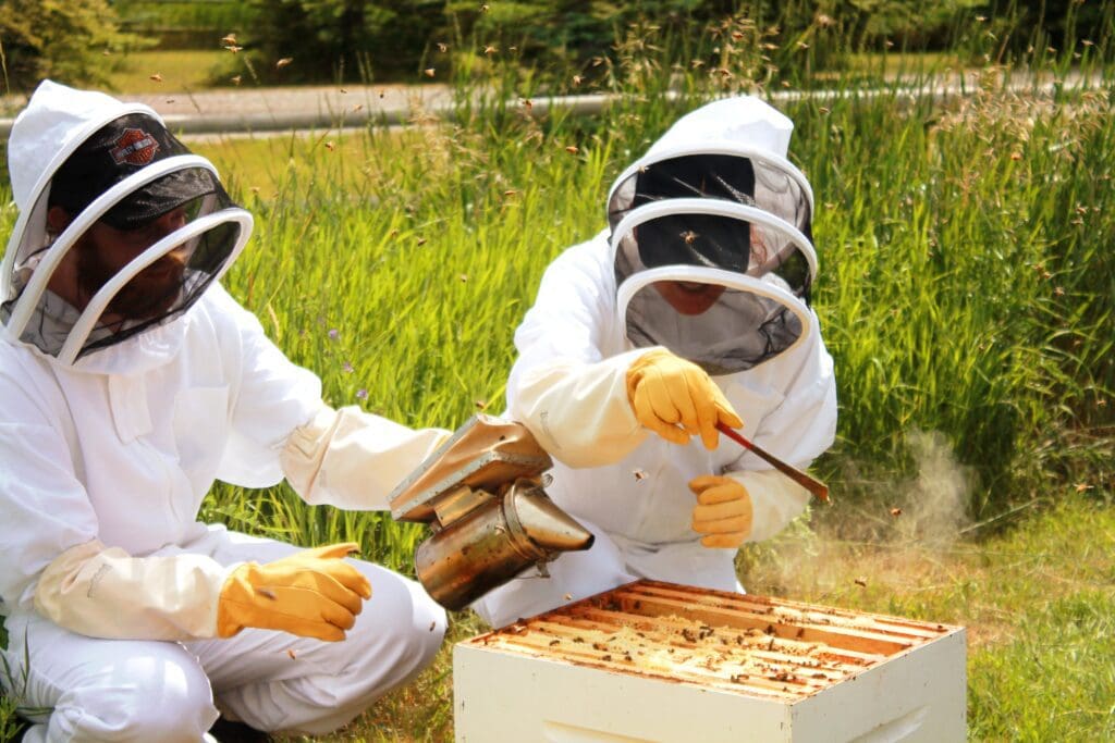 Try beekeeping for your next date in calgary this September!