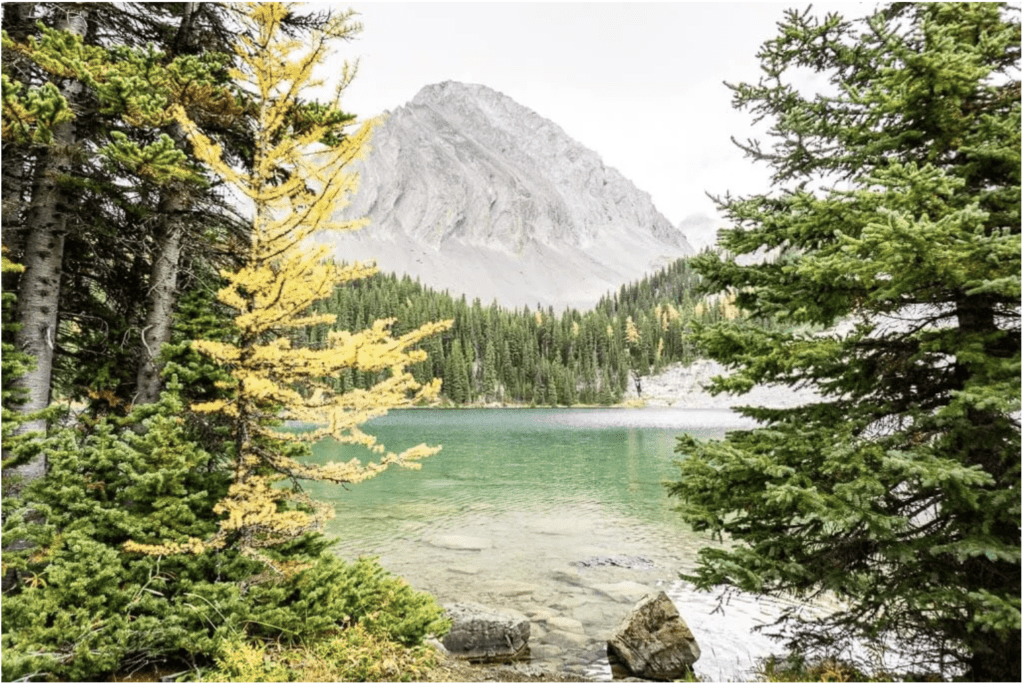 Chester Lake is stunning and a great Alberta Hike to see the Larches