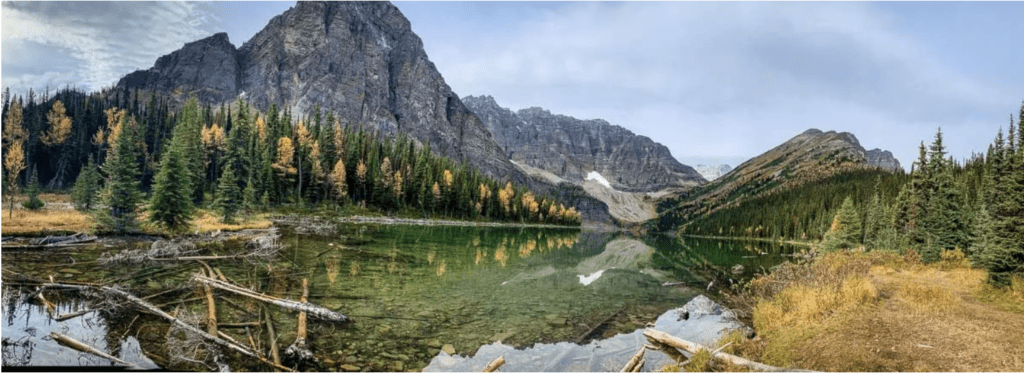 Taylor Lake is a great Alberta Hike