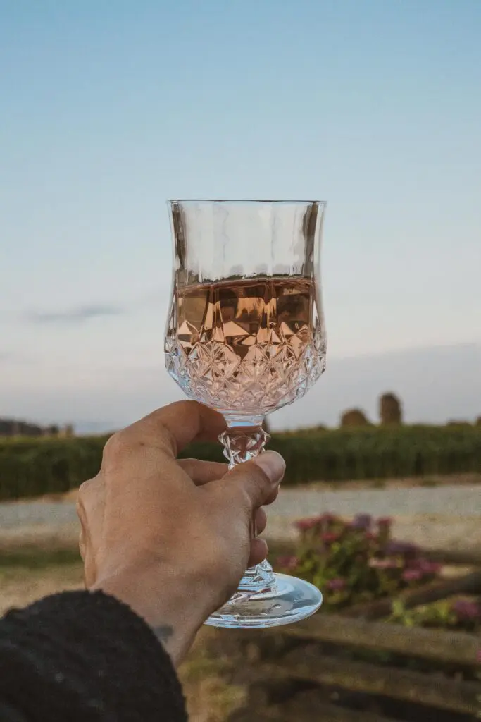 A glass of rose being held up by a female with a blue sky behind it