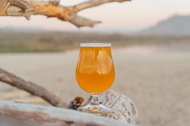 A glass of beer on a beach