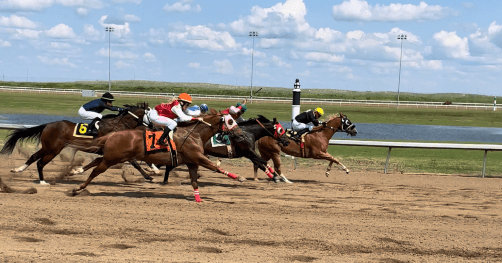Century downs horse racing_ edmonton
