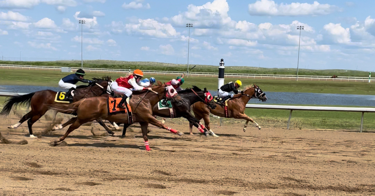 Century downs horse racing_ edmonton