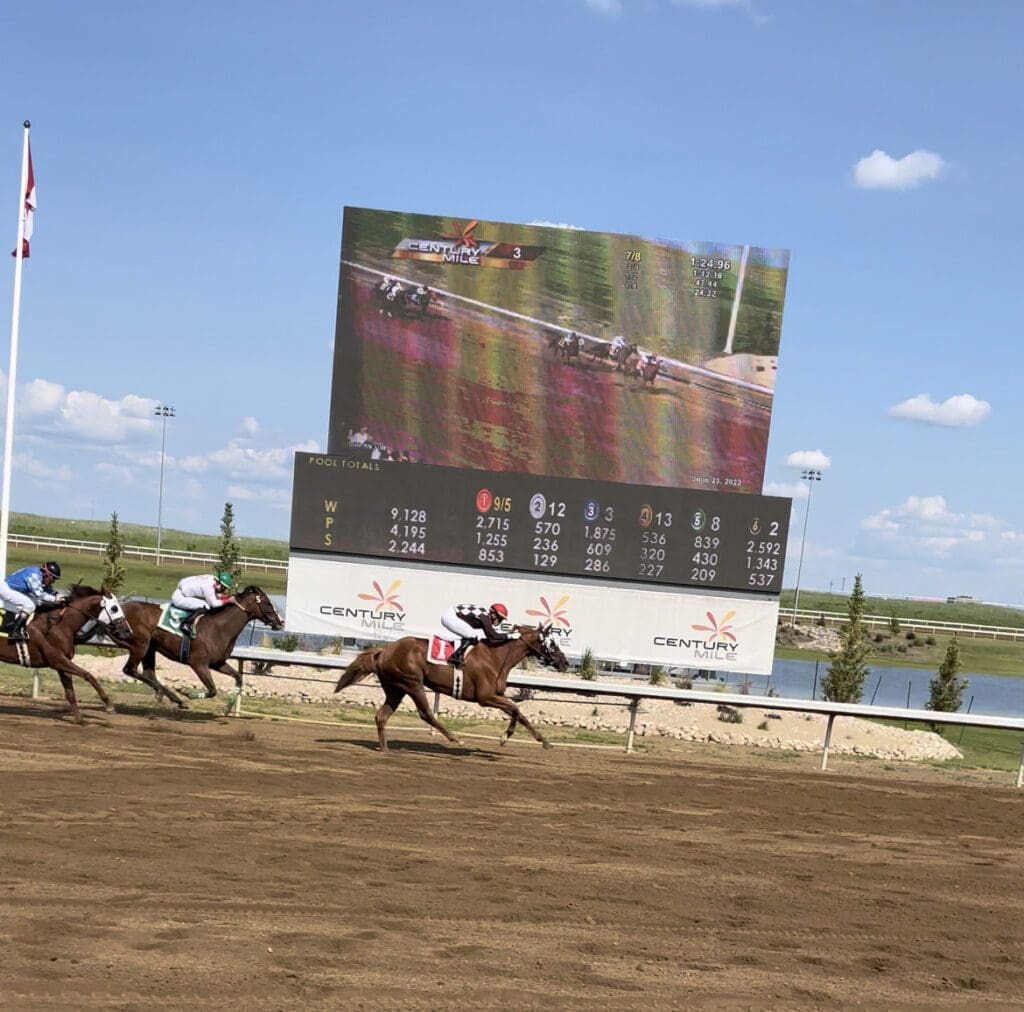 horses racing at century mile racetrack