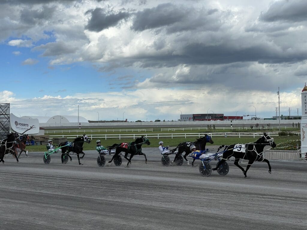 century downs Calgary horses racing