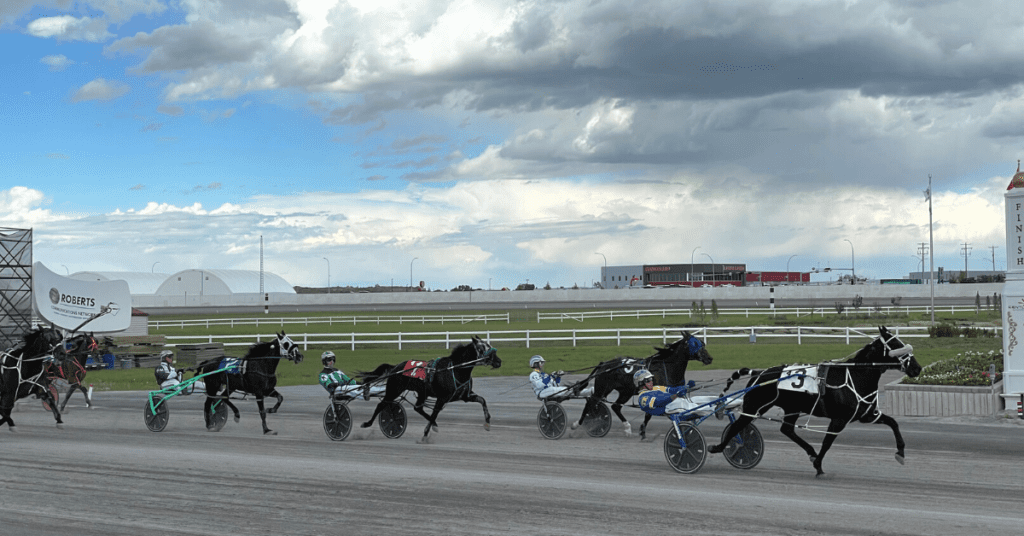 century downs yyc_calgary horse racing