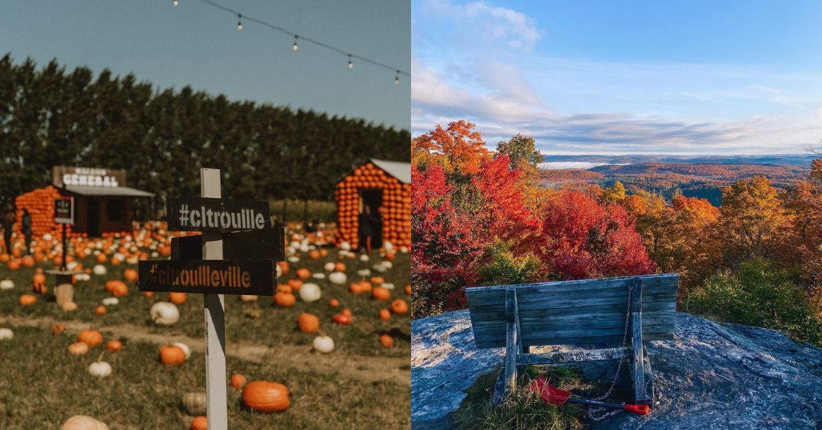 Your Ultimate Guide to Toronto Fall Date Ideas - datenight