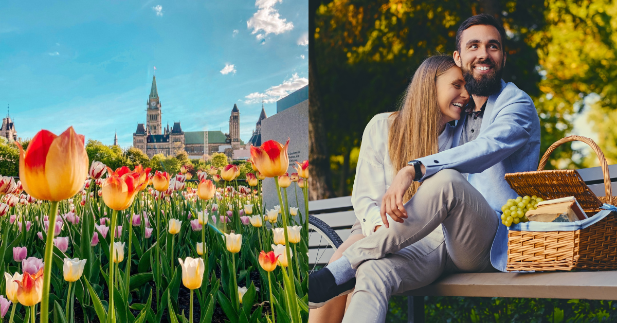 Your Ultimate Guide to Ottawa Fall Date Ideas - datenight