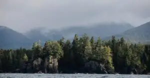 Ucluelet