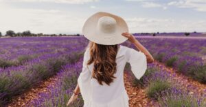 lavender farms ontario