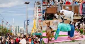 cne the ex attractions date ideas