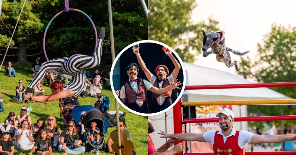buskerfest bark in the park epilepsy to