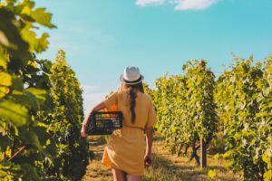 woman in a yellow dress and white hat carrying a basket while walking through a vineyard