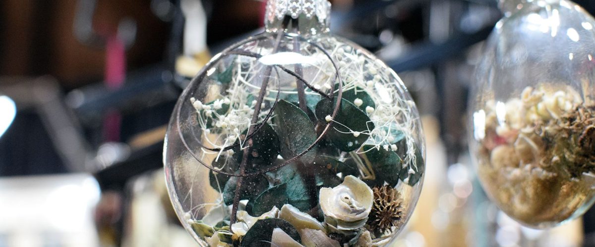 24837559_1517257618381204_4371400193687335473_o