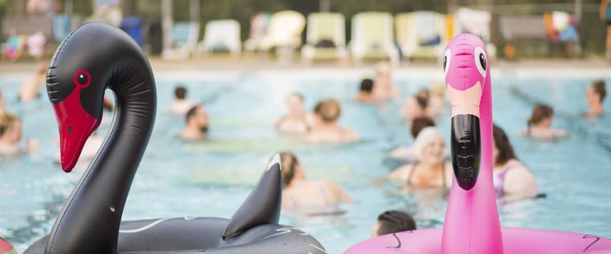 28164816_555913964783826_7892078957780364828_o