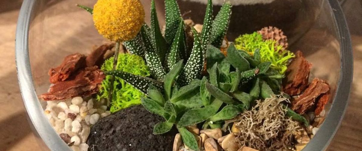 32191665_1648562611902358_3494736308033552384_n