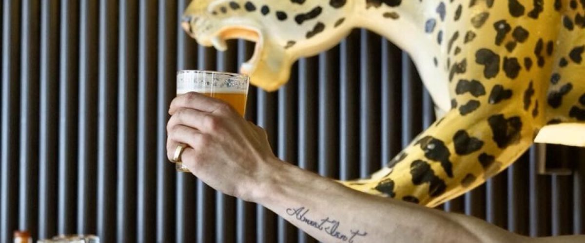 36225279_1814639922164636_8676267901415587840_n