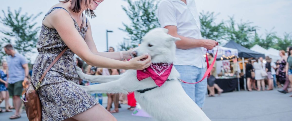 41124551_1804270886293427_134885530990018560_o