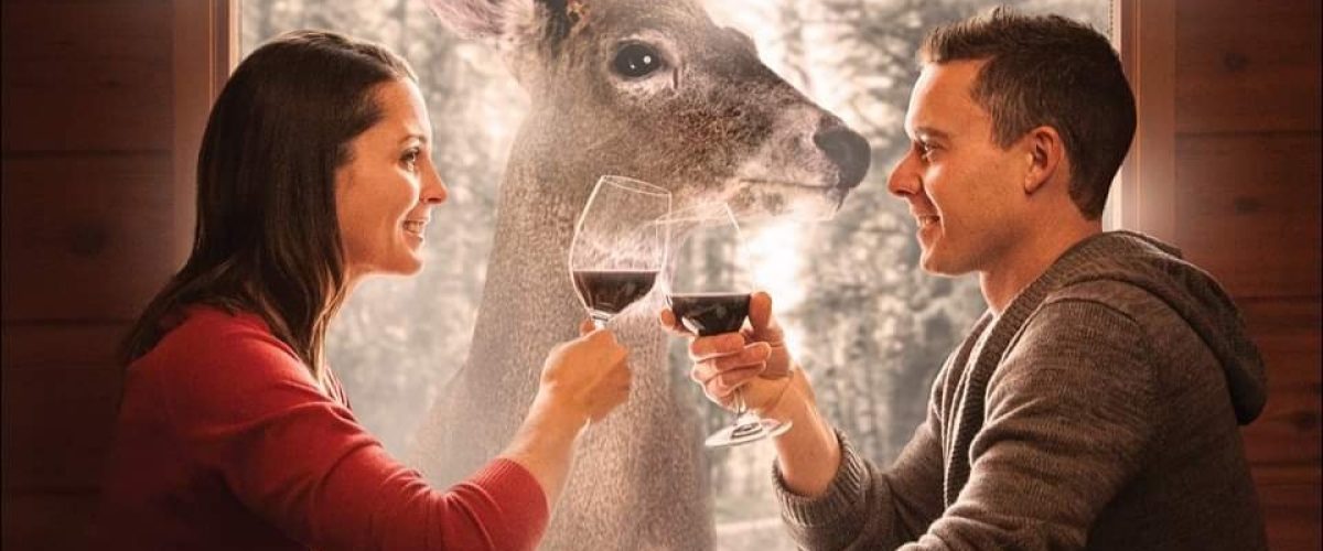 45725989_2282517038652065_7336190924847841280_n