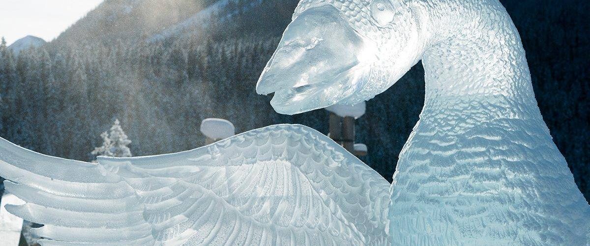 48365775_10156894298912380_695302359944790016_o