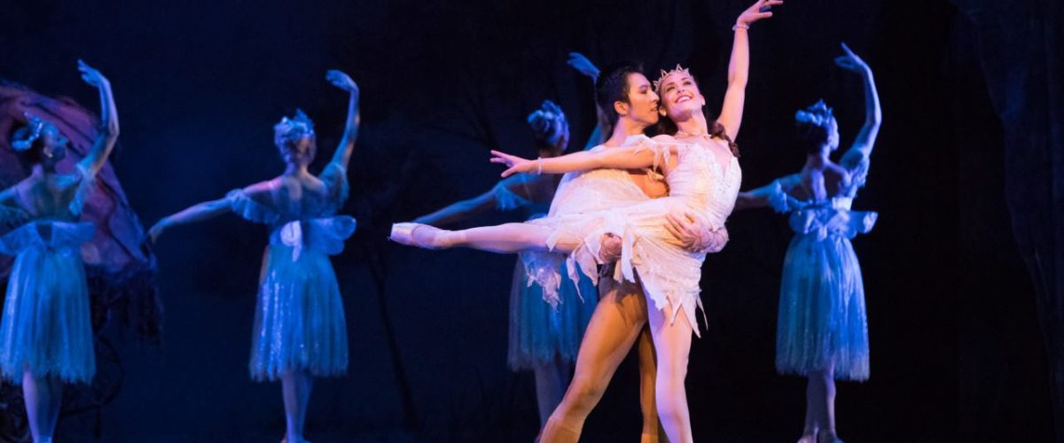 52947173_10155684292686895_5887904317431611392_o