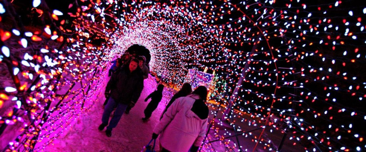 834_10152333008715193_1481700734_n