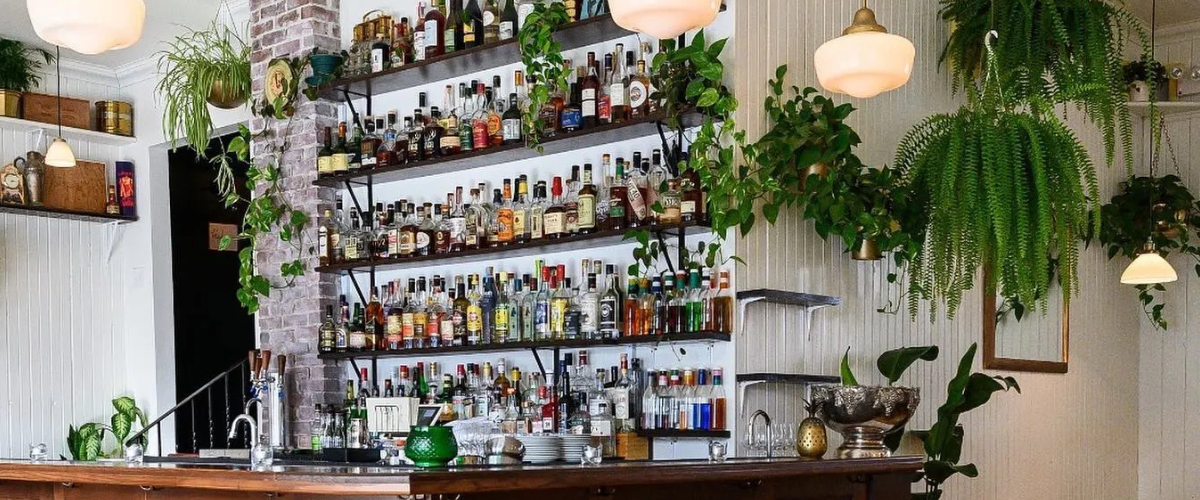 Image Credit: Bar Kismet