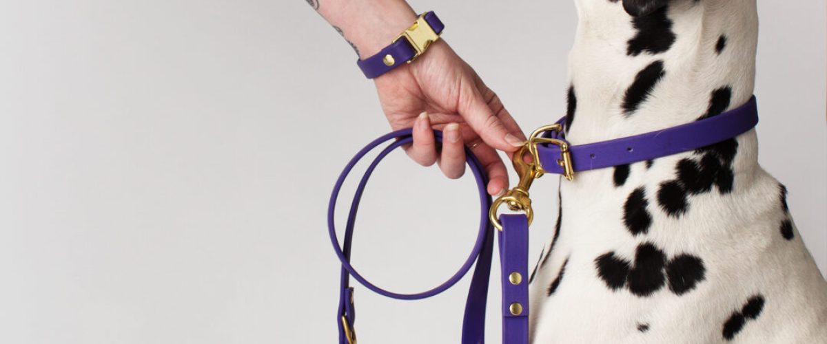 [Calgary][Edmonton] - DogDogGoose4