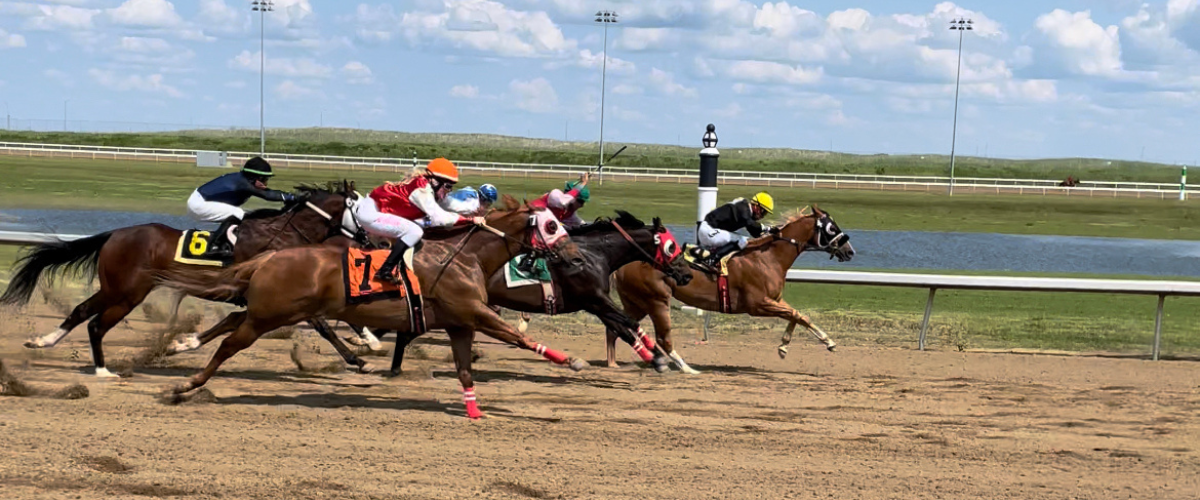 Century downs horse racing_ edmonton