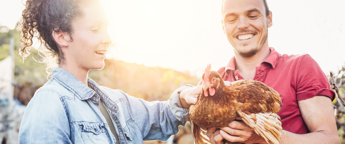 Copy of FEATURE IMAGES