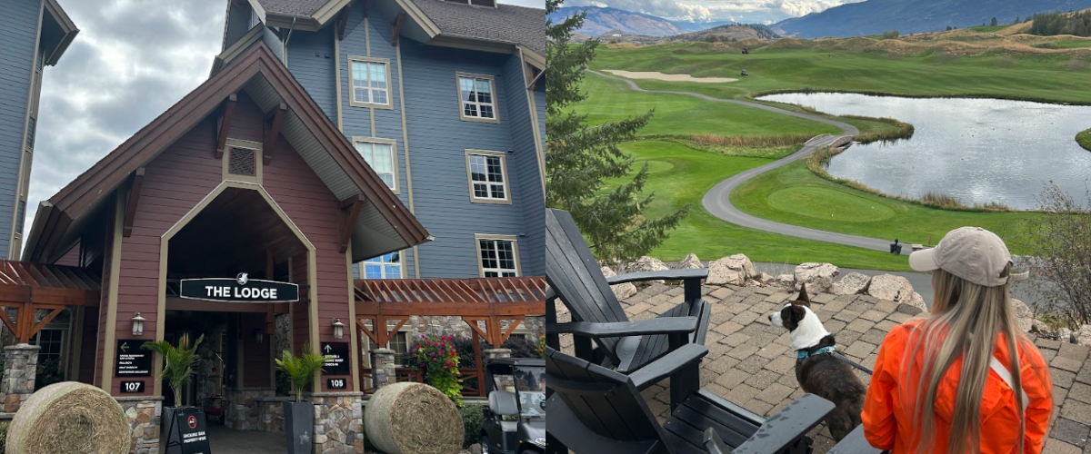 Copy of Wordpress FEATURE IMAGES (11)