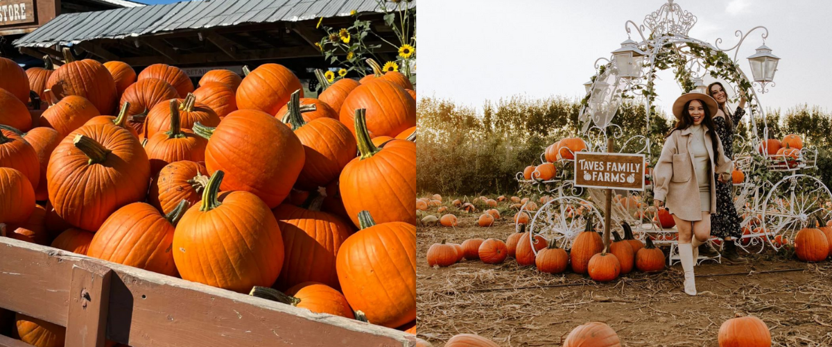 Copy of Wordpress FEATURE IMAGES (11)