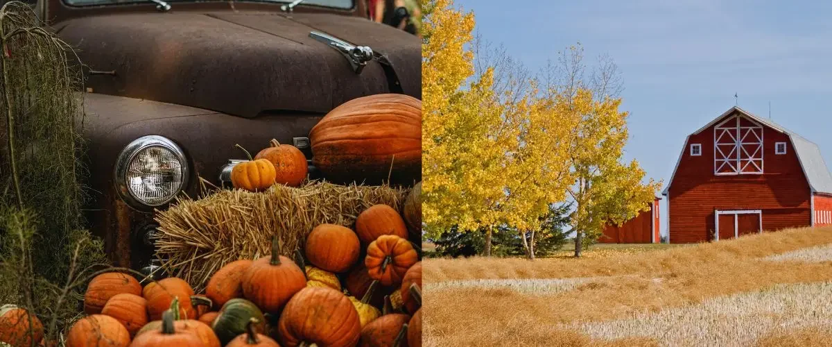 Farms