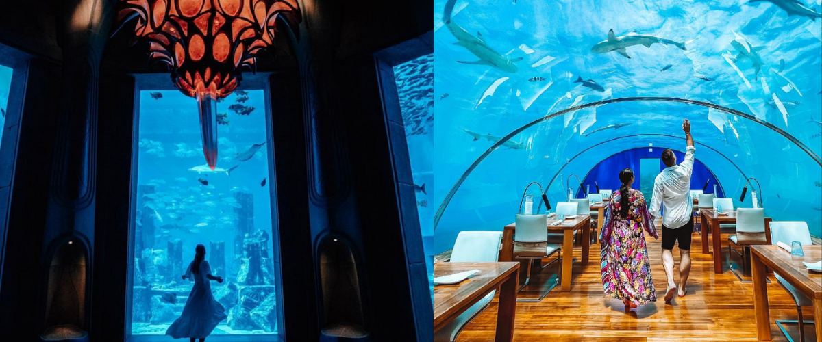 Copy of Wordpress FEATURE IMAGES (5)