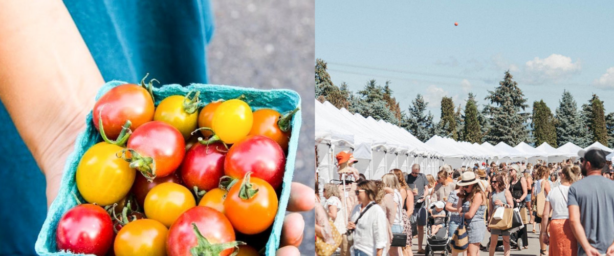 Copy of Wordpress FEATURE IMAGES (6)