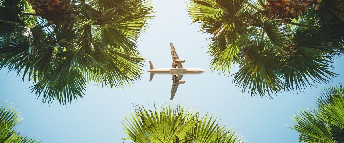 nationalcheapflightday