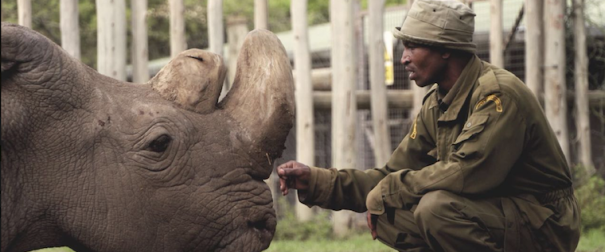 Screen Shot 2018-03-21 at 10.20.03 PM