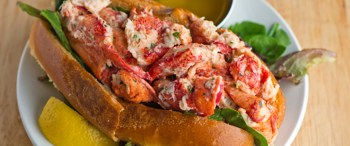 halifax lobster rolls