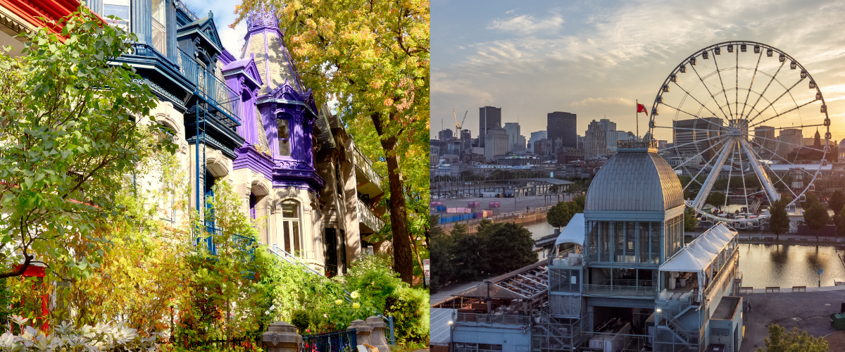 Wordpress FEATURE IMAGES (1)