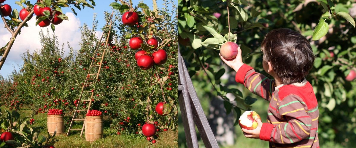 Wordpress-FEATURE-IMAGES-1