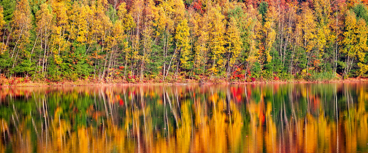 Wordpress FEATURE IMAGES