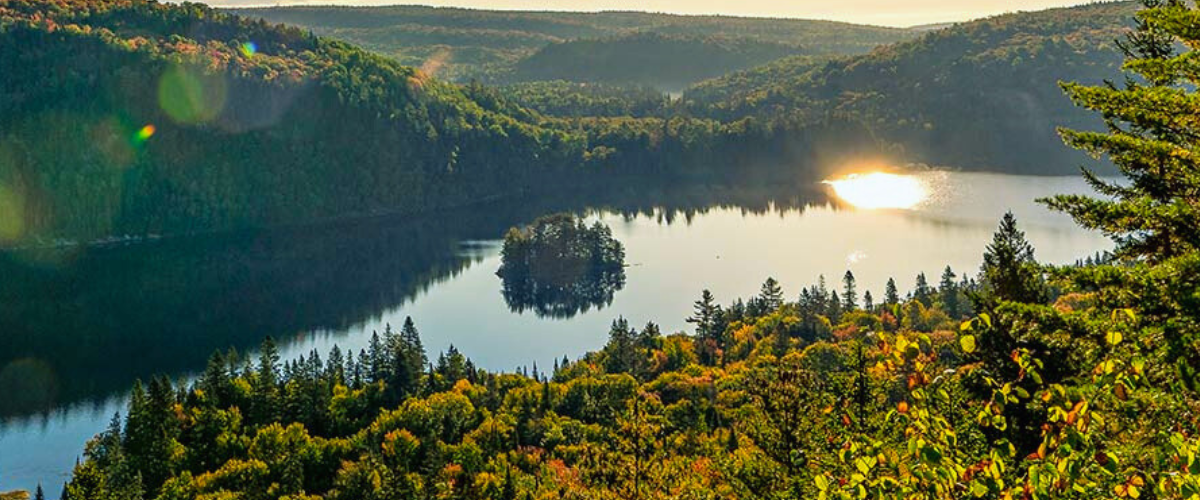 Wordpress FEATURE IMAGES (1)