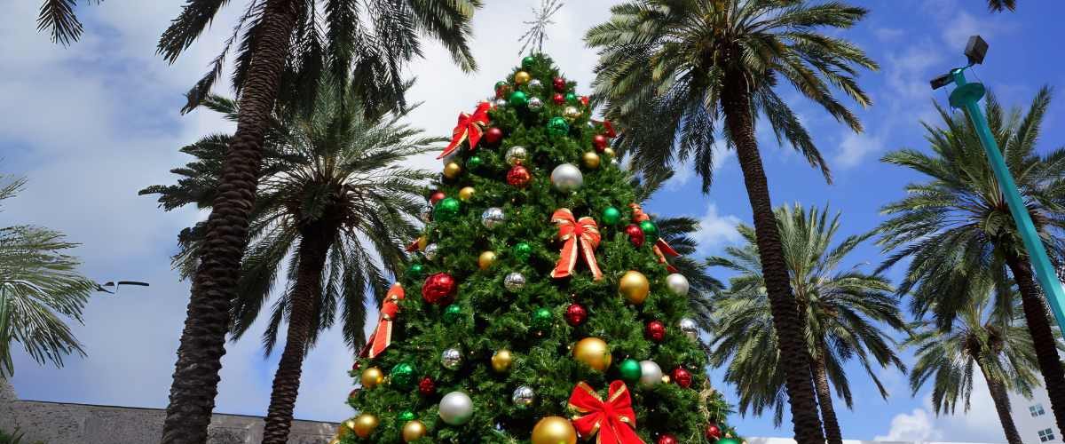 Wordpress FEATURE IMAGES