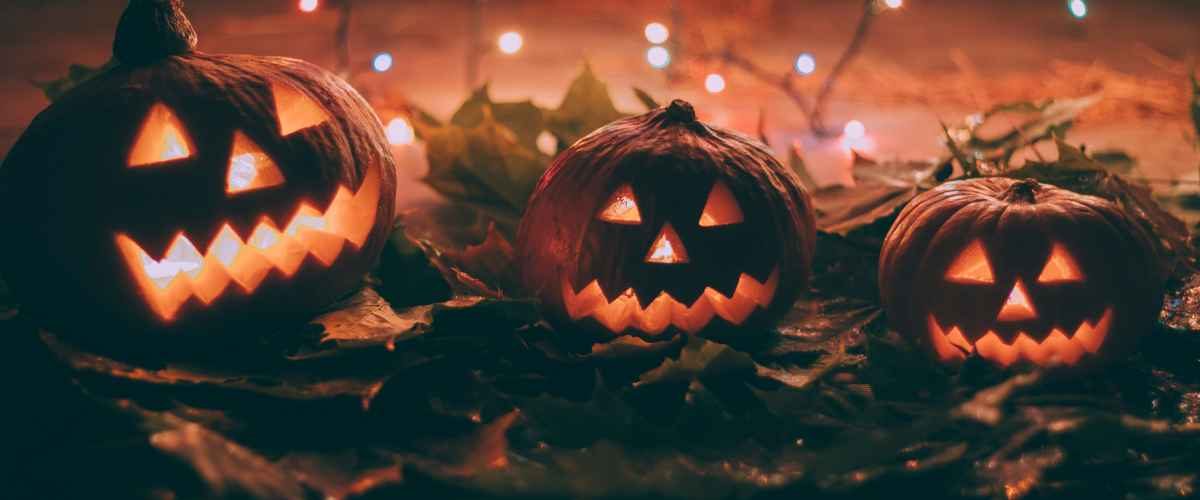 Wordpress FEATURE IMAGES