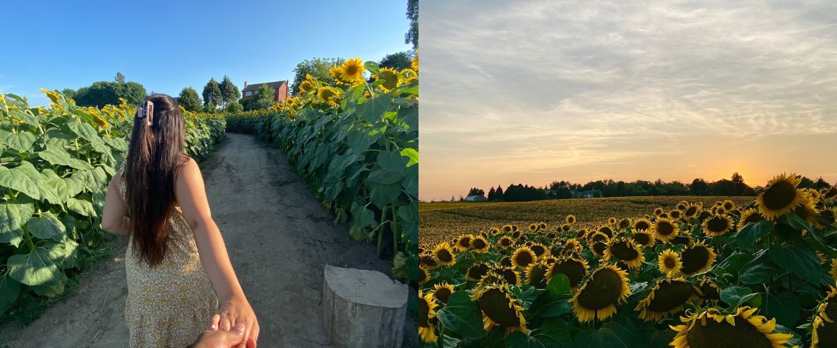 Wordpress-FEATURE-IMAGES-1