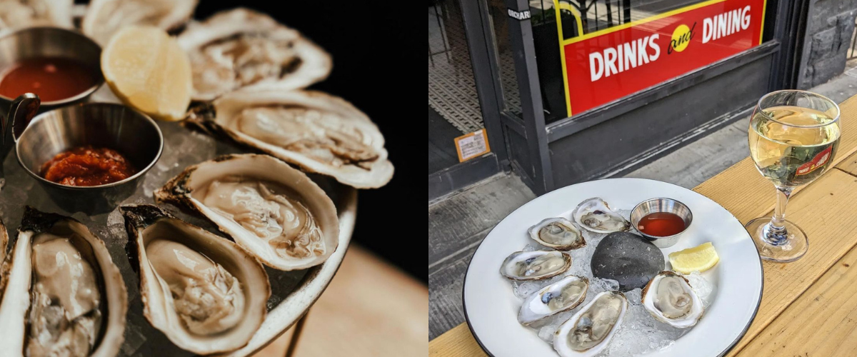 Oysters New York