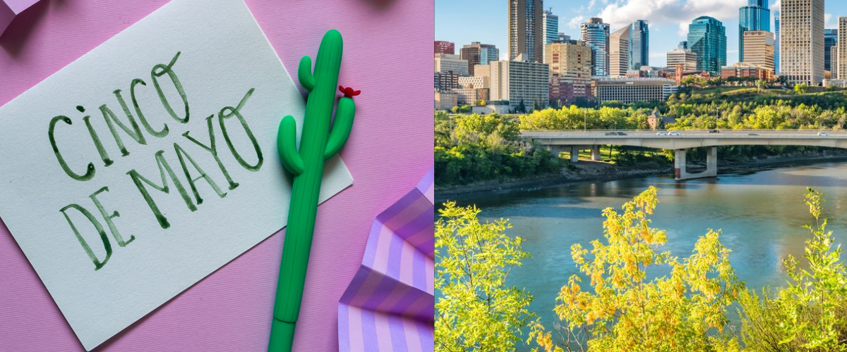 Wordpress FEATURE IMAGES (10)