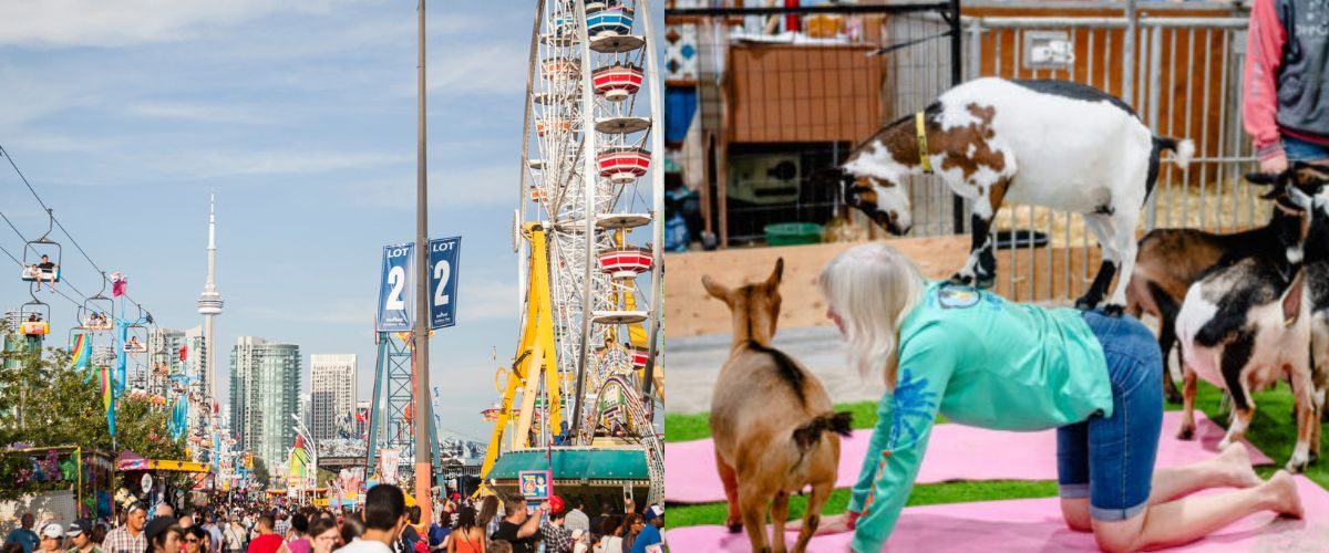 cne the ex attractions date ideas