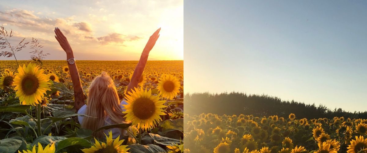 Wordpress FEATURE IMAGES